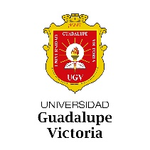 Universidad Guadalupe Victoria